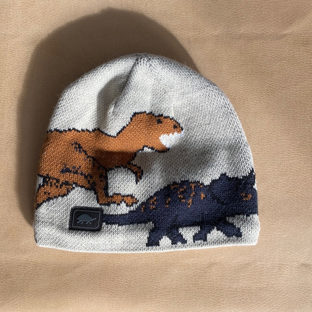 NWOT kids beanie from brand Turtlefur (bought at REI)